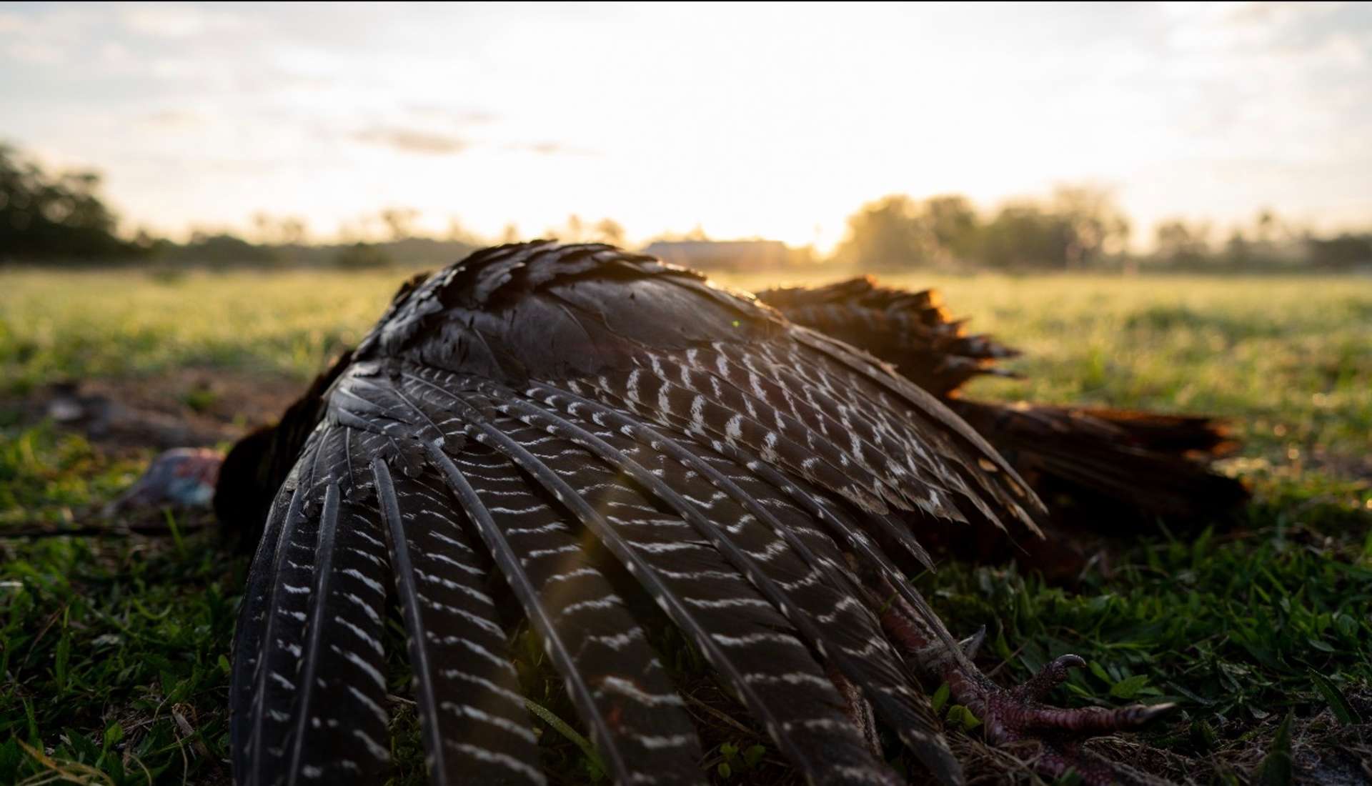 God’s Country Outfitters 
