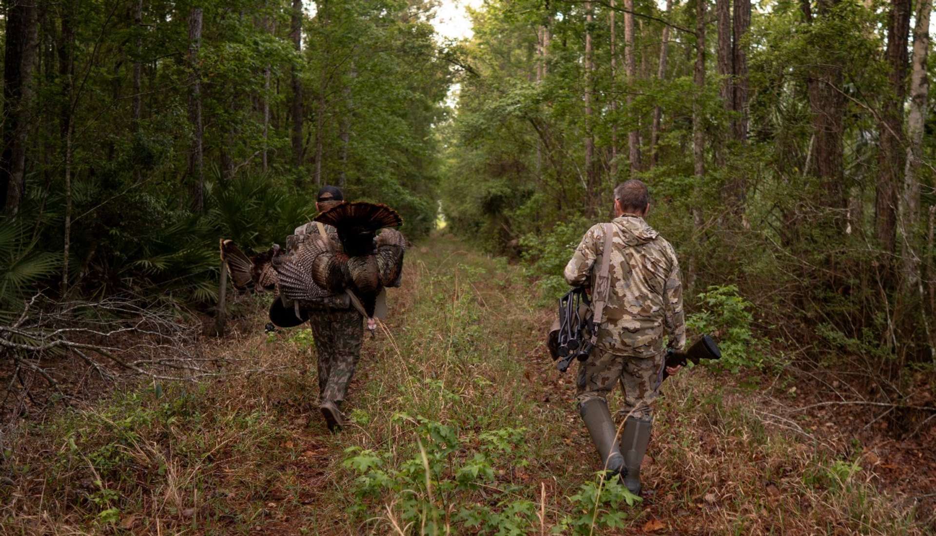 Turkey Hunting