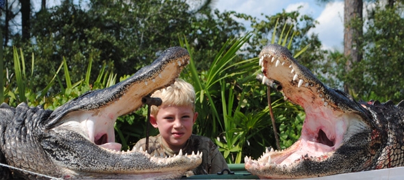 Florida Alligator Hunting - Wild Alligator Hunts