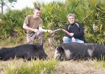 Hog hunting photo gallery from God's Country Outfitters. God’s Country Outfitters (GCO) is owned and operated by good country people that love to hunt Florida hog's just as much as you do.